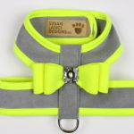 Platinum - Firefly Trim w/ Firefly Big Bow