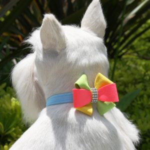 Angela 1/2"collar