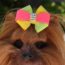 Angela Hair Bow- 2 hair bows
