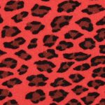 Mango Cheetah