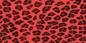Mango Cheetah