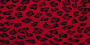 Red Cheetah