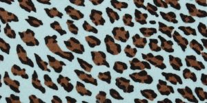 Tiffi Blue Cheetah